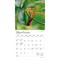 Hummingbirds | 2026 7 x 14 Inch (Hanging) Monthly Mini Wall Calendar | Foil Stamped Cover